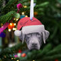 Personalised Pet Christmas Tree Decoration, thumbnail 1 of 10