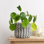 Mini Basket Beginner Knitting Kit, thumbnail 2 of 8