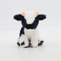 Personalised Mini Black And White Dairy Cow, Gift Box, thumbnail 6 of 7