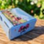 Ladybird Socks With Gift Box – Fun Gift One Size, thumbnail 4 of 7