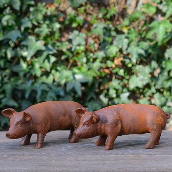 Mini Rusty Baby Pig Garden Sculpture, 2 of 3