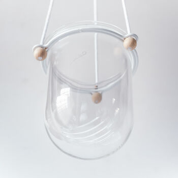 Orla, Hanging Glass Planter, Ideal For Orchids, 7 of 12