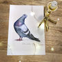 Sassy Pigeon Fine Art Print, thumbnail 2 of 3