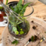 Carnivorous Plant Terrarium Workshop For Two, Manchester, thumbnail 11 of 11