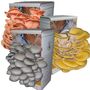 Ready To Grow Oyster Mushroom Growing Kit, thumbnail 1 of 9