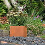 Rusty Square Plant Pot, thumbnail 2 of 4