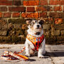 Orange Cartoon Adjustable Dog Harness, thumbnail 2 of 12