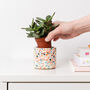 Handmade Terrazzo Colourful Indoor Plant Pot, thumbnail 1 of 7
