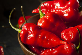 Chilli Plants, Ghost Chilli 'Bhut Jolokia', 8 of 9