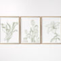 Set Of Three Contemporary Floral Art Prints, thumbnail 4 of 8