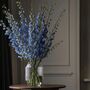 Glacier Blue Delphinium Fresh Flower Bouquet, thumbnail 1 of 3