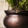 Hammered Copper Hanging Planter – Brass Chain, 17cm, thumbnail 8 of 8