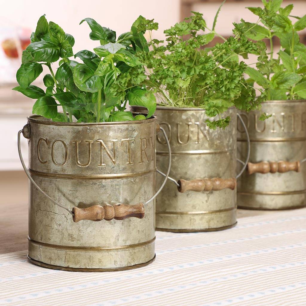 three personalised country kitchen herb pots by dibor
