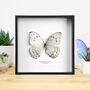White Morpho Butterfly Handcrafted Frame, thumbnail 1 of 3