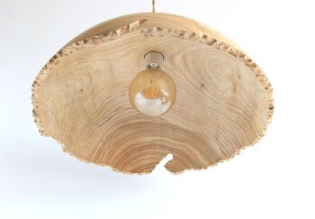 Wood Light, 7 of 7