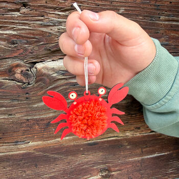 Make Your Own Pom Pom Crab Decoration Kit, 6 of 6
