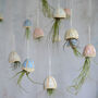 Jellyfish Air Plant Hanging Decorations Stone, thumbnail 8 of 8
