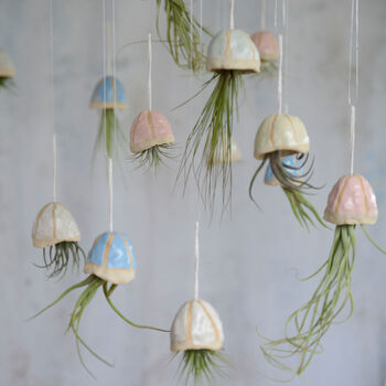 Jellyfish Air Plant Hanging Decorations Stone, 8 of 8