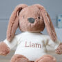 Personalised Max And Boo Large Bunny Soft Toy In Blue, Green And Chestnut, thumbnail 7 of 11