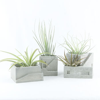 Concrete House Air Plant Holder Collection Set, 6 of 9