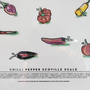 Chilli Pepper A4 Poster With Optional Frame, 3 of 8