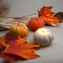 Cosy Autumn Halloween Pumpkin Candle, thumbnail 7 of 8