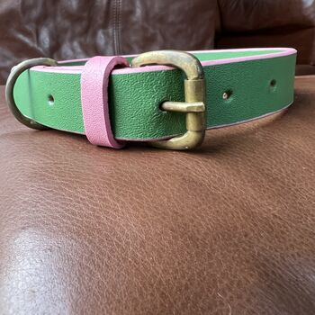 Two Tone Colourful Buffalo Leather Dog Collar, 3 of 5