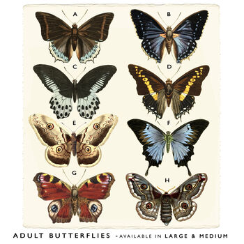 Family Butterfly Print, Unframed, 7 of 9