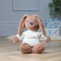 Personalised Max And Boo Large Bunny Soft Toy In Blue, Green And Chestnut, thumbnail 6 of 11