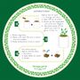 'Number One Dad' Eco Grow Your Own Chilli Plants Kit, thumbnail 7 of 9