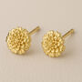 Gold Plated Sterling Silver October Birth Flower Marigold Stud Earrings, thumbnail 1 of 6