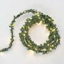 Green Foliage Battery Fairy Lights, thumbnail 5 of 6