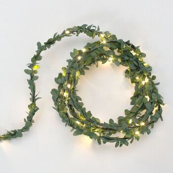 Green Foliage Battery Fairy Lights, 5 of 6