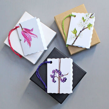 Pack Of Six Assorted Botanical Gift Tags, 6 of 6