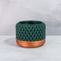 Forest Ananas Planter, thumbnail 3 of 4