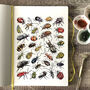 Beetles Of Britain Watercolour Postcard, thumbnail 5 of 8