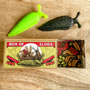 Matchbox Of Spiders Or Slugs Children's Gift, 2 of 3