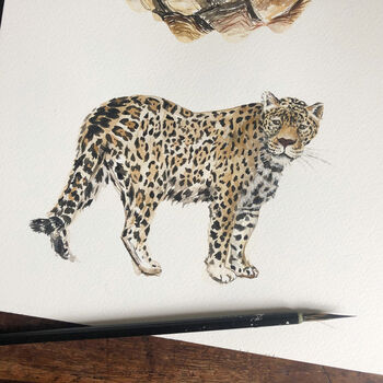 Jaguar Personalised Watercolour Fine Art Print, 3 of 5