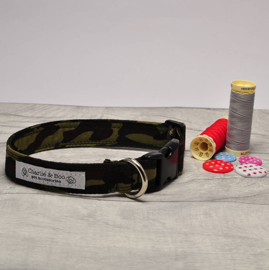 green dog collar and lead set for girl or boy dogs by charlie and boo
