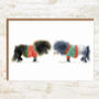 Shetland Pony Christmas Card Pack, thumbnail 3 of 5