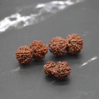 Nepali Gauri Shankar Rudraksha Beads, 7 of 9