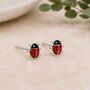 Sterling Silver Ladybird Stud Earrings, thumbnail 1 of 5