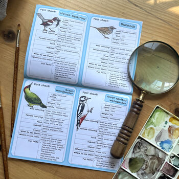 Garden Birds Nature Study Activity Book, 5 of 6
