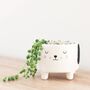 White Dog Planter With Choice Of Plant, thumbnail 1 of 2