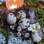 Decorative Natural Quails Eggs, Box Of 12, thumbnail 9 of 12