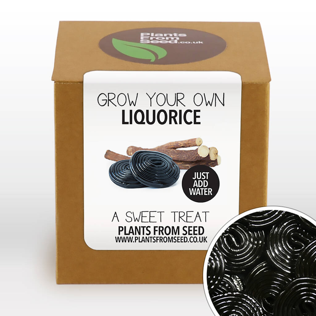 complete grow your own sweet liquorice plant kit by plants from seed