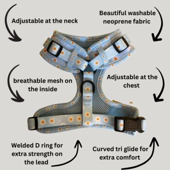 Floral Daisy And Polka Dot Dog Harness, 2 of 4