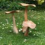 Set Of Three Wooden Mushrooms For Garden, thumbnail 10 of 12
