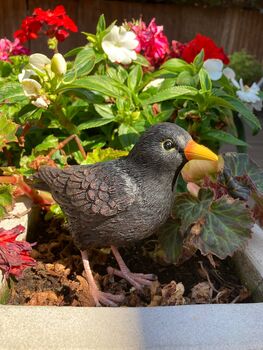 Lifelike Blackbird Garden Sculpture Gift Ornament Frost Proof, 4 of 9