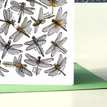 Dragonflies Of Britain Greeting Card, 7 of 7